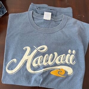 Hawaii Graphic Men’s T-Shirt - Blue with Yellow Accent